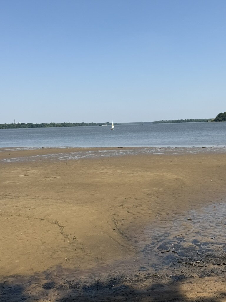 A sailboat on the Appomattox River at City Point, Hopewell, viewed from a sandbar on a clear summer day
